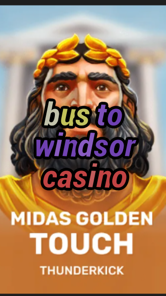 bus to windsor casino-3xn3u5udepyz9m9w5iat.com