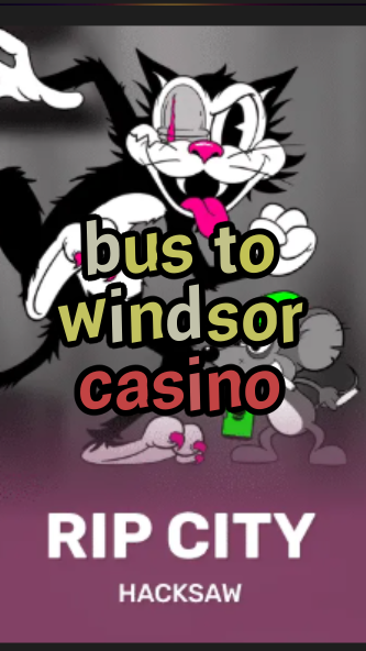 bus to windsor casino-3xn3u5udepyz9m9w5iat.com