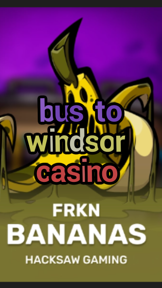 bus to windsor casino-3xn3u5udepyz9m9w5iat.com